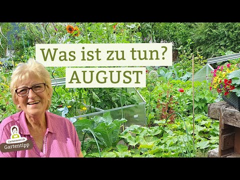 Video: Blumen im August: Foto und Beschreibung