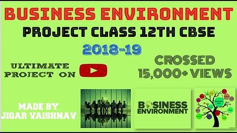 Business Environment Business Study Project Class 12th CBSE Board