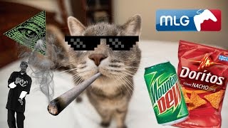 MLG Cats In Action