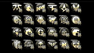 CSGO RMR 2020 Stickers || Normal/Holo/Foil/Gold