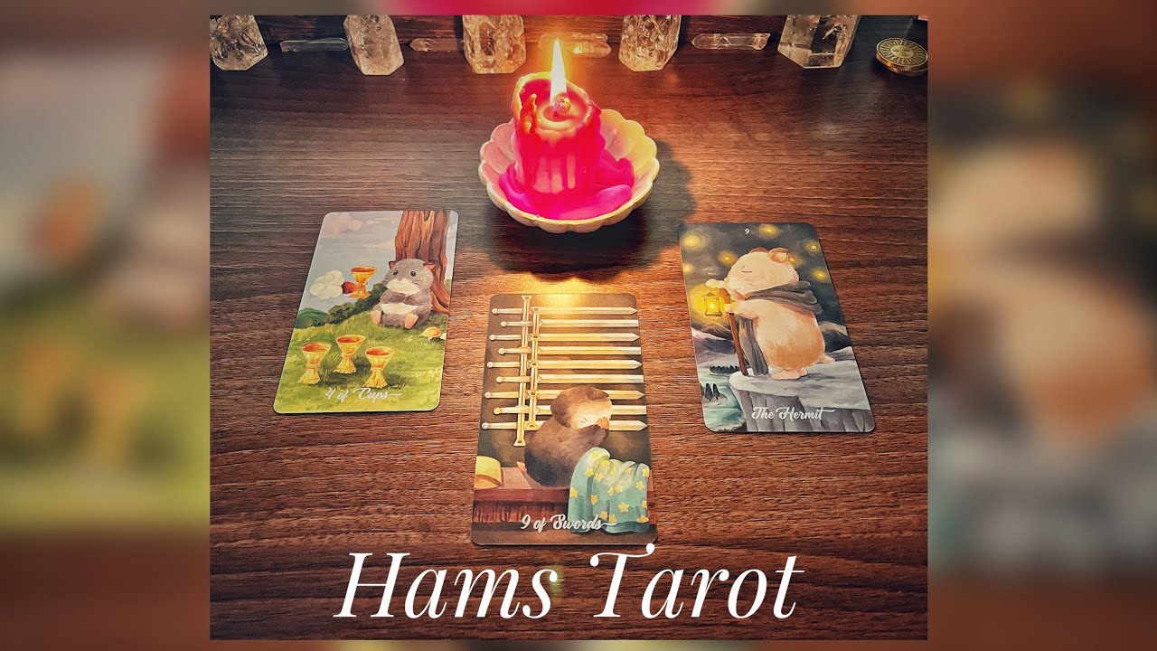 Hams Tarot! The Cutest Deck Ever? YouTube
