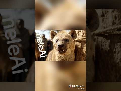 Ethiopian Funny Ai Video Part 23 