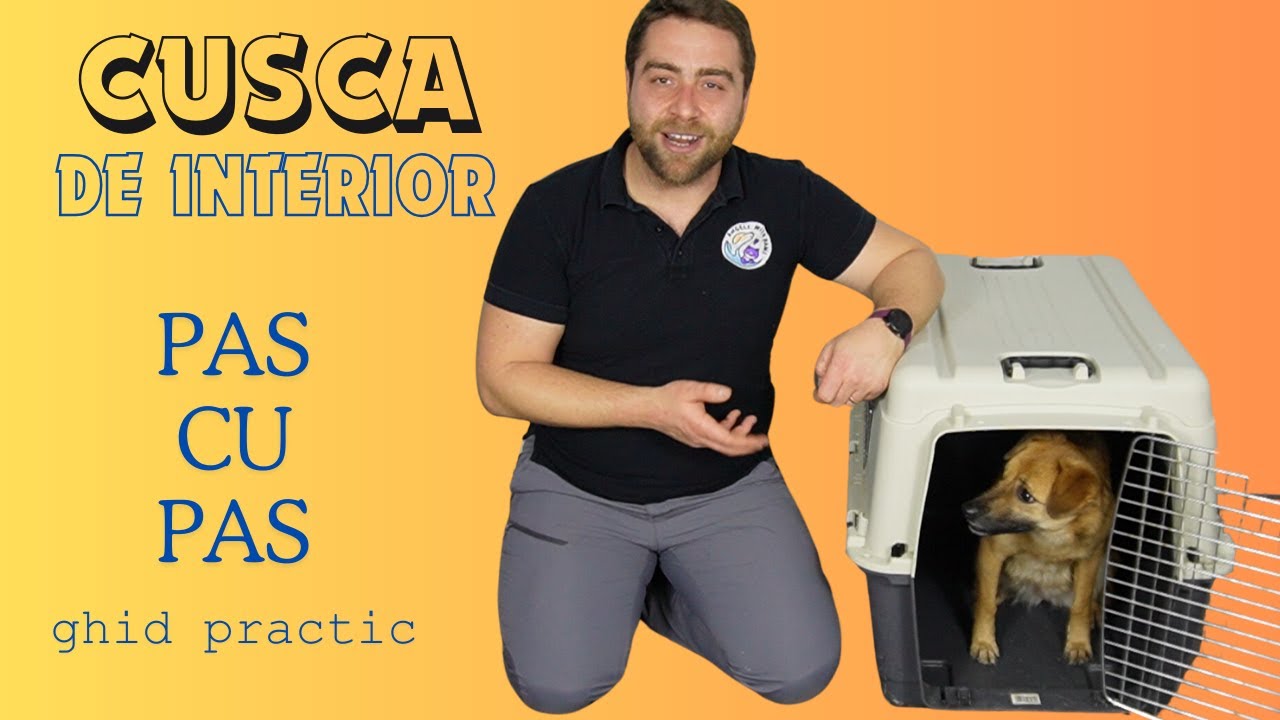 Cum dresezi cainele sa stea in cusca