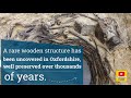 A rare wooden structure has been uncovered in oxfordshire well preserved over thousands of years