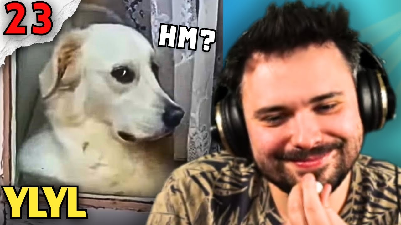 YLYL #23 - Tivolt ogląda śmieszne filmy