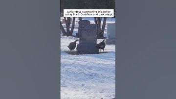 When junior devs summon a senior… Stack Overflow edition! #juniorDev #softwareEngineer #codingLife