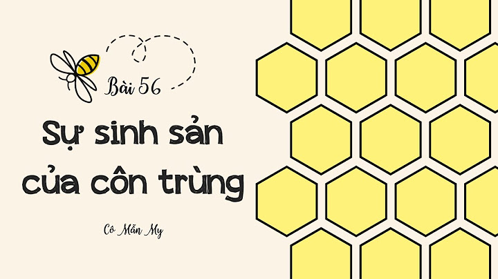 Con trùng là lớp động vật thuộc ngành nào năm 2024