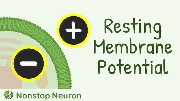Resting Membrane Potential || How Resting Membrane Potential is Generated?