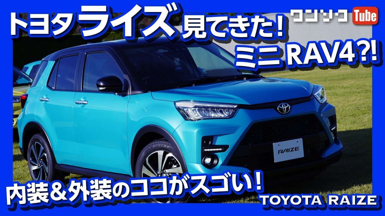 トヨタRAV4 RAIZE 1/30 まとめ売り