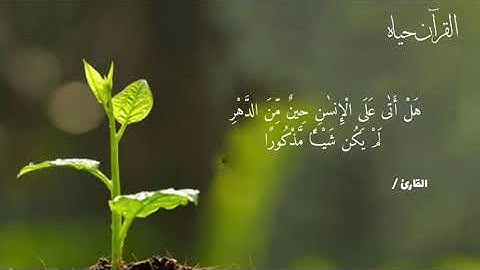 القارئ سالم الرويلي (تلاوه هادئه جدا ) من سورة الإنسان