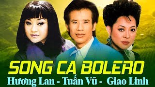 Tuấn Vũ Phượng Hoàng