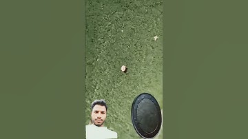 Euro Coin Loop💰💎!#infinite #loop#euro#money #coin #piggybank #macro #relax#satisfying #zooming