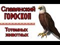 Славянский гороскоп по годам. Узнай свой Тотем