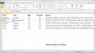 Excel 2010 Tutorial - Freezing Panes