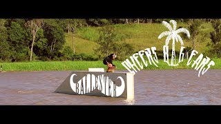 CHEERS BIG EARS - °Nils Ballester°