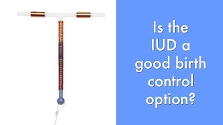 Today we're discussing the pros and cons of using an intra-uterine
device (an iud, for short!) as your primary method birth control! if
you like this vide...