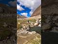 Amazing Neutral Beauty | Vine of Nature | Best Place to Visit in India #nature #vibes #vibe #india