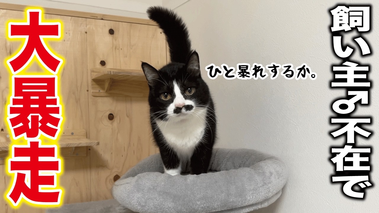 【主♂不在】ワンオペの夜は想像以上にカオスだった