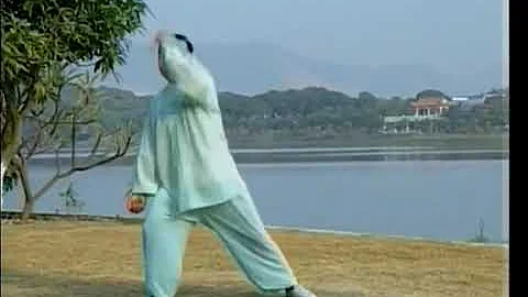 传统赵堡太极拳——王长安 P1 七十二式套路及用法（1） - 天天要闻