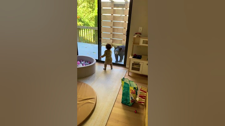 Bear Cubs Show up at Family's Porch Door