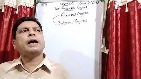 Class IV EVS 07 06 2021 by Mr Rupesh Chapter 2 The Internal Organs