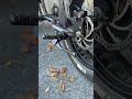 Vented plate #electricbike #viral #fypシ゚viral #super73 #bikelife