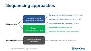 NEXTalk Webinar | Novogene Bioinformatics Analysis Report Walkthrough in Metagenomics