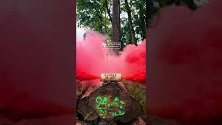 BOUBLE BLAST SMOKE #shotsvideo #viralvideos #doubleblast #smokebombs #football #persebaya #fyp #pyro