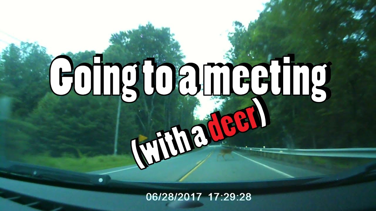 video editing software free Going to a meeting (with a deer)
