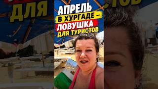 Апрель в Хургаде — ловушка для туристов #shorts