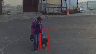 dog 1 detect