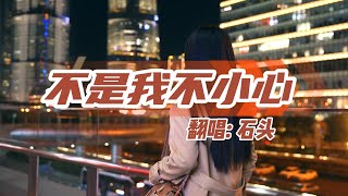 Miniatura de vídeo de "《不是我不小心》- 石头 Bu Shi Wo Bu Xiao Xin - Bùshì wǒ bù xiǎoxīn - Shitou"