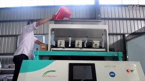 Macadamia Kernel Color Sorter / Sorting Machine (first sorting)-Email: smarthonesty@yahoo.com