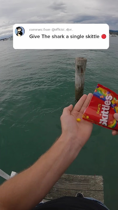 The North Sea Is Scary! 😱