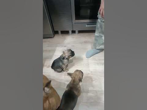 я сын и загрузил это видео;) - YouTube