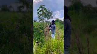🚨PESCA DE TRAIRA, Hora boa #comopescar #pesca #acampamento #pescaria #fishing