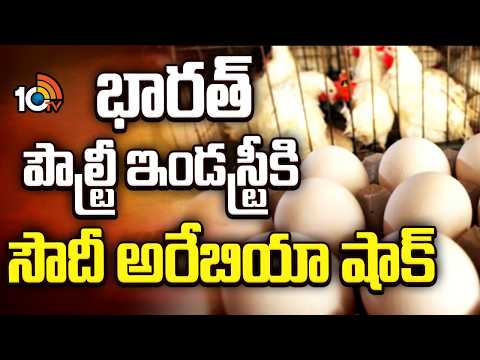 Saudi Arabia | Indian Poultry Industry | భారత్ పౌల్ట్రీ ఇండస్ట్రీకి సౌదీ అరేబియా షాక్ | 10TV - 10TVNEWSTELUGU