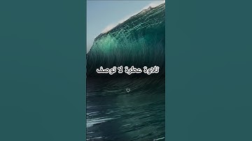 تلاوة عطرة مباركة لا توصف ارح سمعك لكي يطمأن قلبك ونفسك القران شفاء وبركة ورحمة #القرآن_الكريم