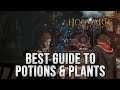 Hogwarts Legacy : Ultimate Guide To Potions &amp; Plants