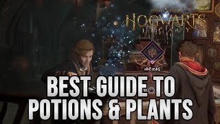Hogwarts Legacy : Ultimate Guide To Potions &amp; Plants