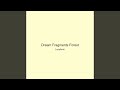 Dream Fragments Forest