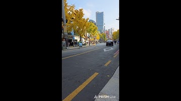 허위사문서,허위공문서,직권남용~수십명 측량조작 공무원 형사고소~확실한 수사촉구 1인시위~부산진경찰서앞~8일차~