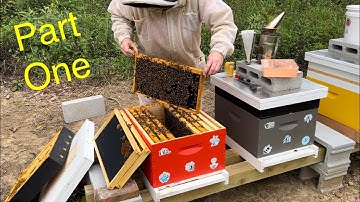 So You Wanna Be A Beekeeper - An Introduction to Beekeeping (Part 1)