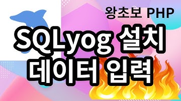 63. Mysql 관리툴인 SQLyog 설치, Insert 문으로 데이터를 입력하기