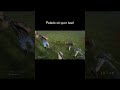 Pelado só quer isso | DAYZ #survivalgame #comoconstruirbasedayz #dayzgamers #dayzbrasil