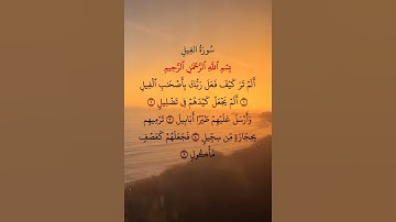 سورة الفيل كاملة/ الم ترى كيف فعل ربك بأصحاب الفيل