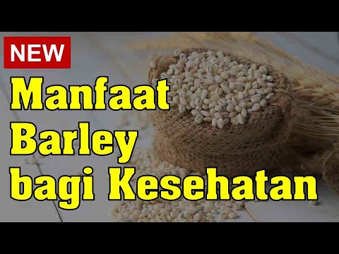 Video: Manfaat Air Barley Dan Efek Samping