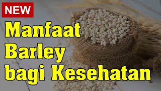 Cara memasak barley/ jali-jali