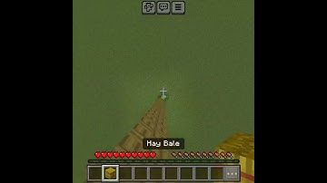 MINECRAFT|| SLIME BLOCK WITH HAY BALE MLG #shorts #minecraft #gaming