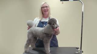 HOW TO CREATE A LAMB TRIM ON A POODLE | ANDIS